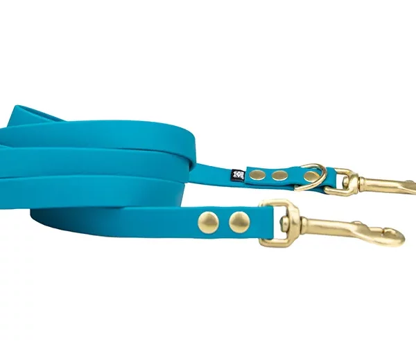 ACC biothane Multi-Clip leash lagune with brass fittings