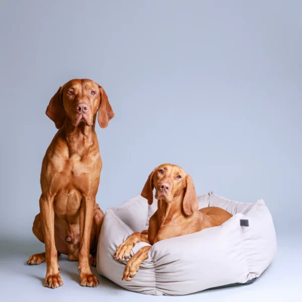 LILLABEL Dog Bed VELUDO greige