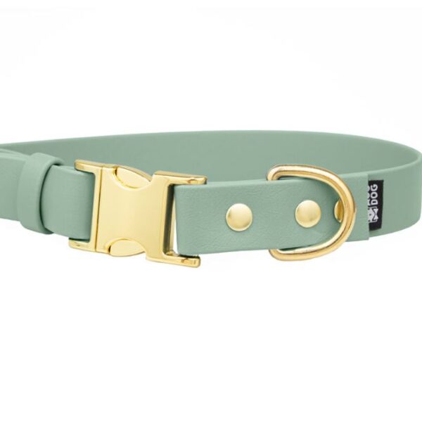ACC Biothane® Buckle Collar sage green S/19mm brass finishing