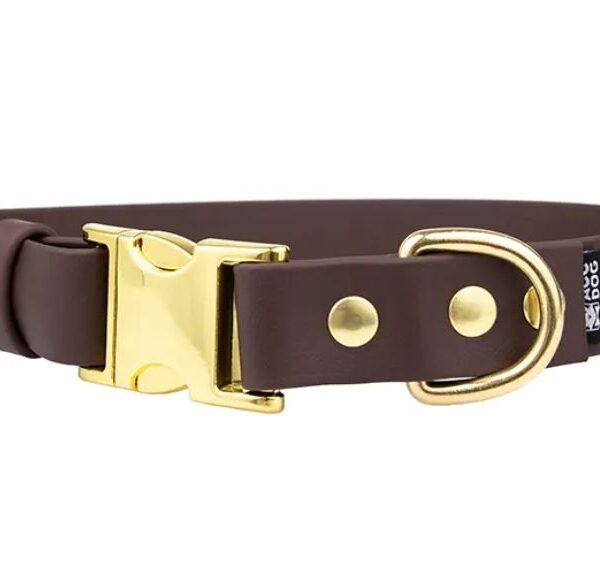 ACC Biothane® Buckle Collar dark brown S,M/25mm brass finishing