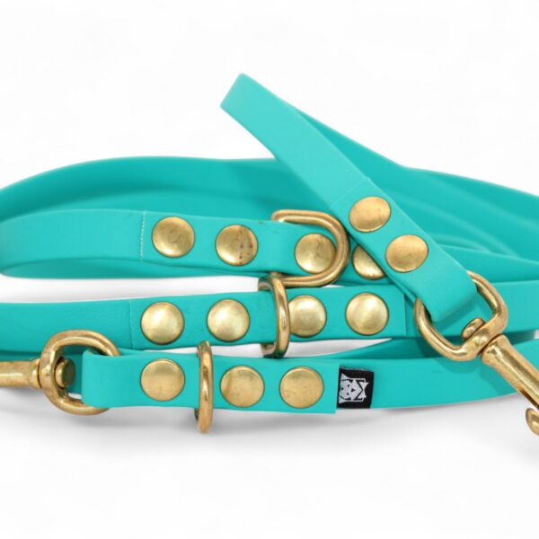 ACC Biothane® Multi-Clip Leash 240cm/13mm azure sea with brass finishings