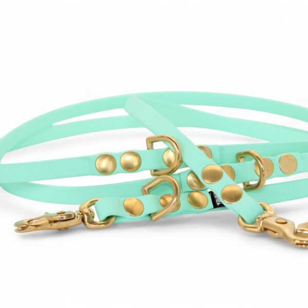 ACC Biothane® Multi-Clip Leash 165cm/9mm soft mint and brass finishings