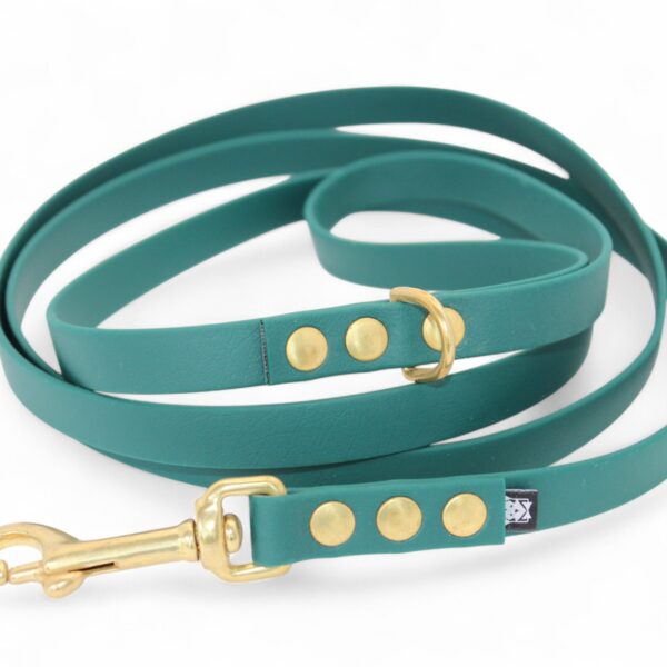 ACC Biothane® City Leash 200cm/16mm forest with brass finishings