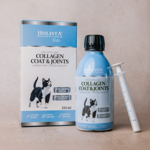 holista collagen cats coat joints