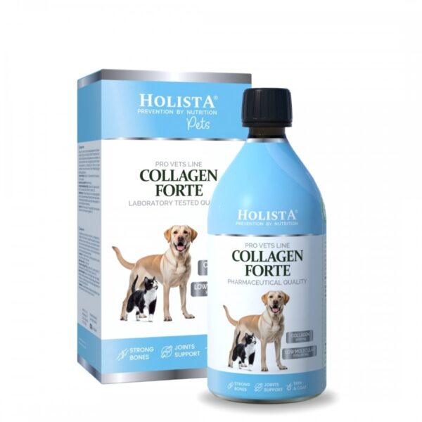 holista collagen forte 500ml