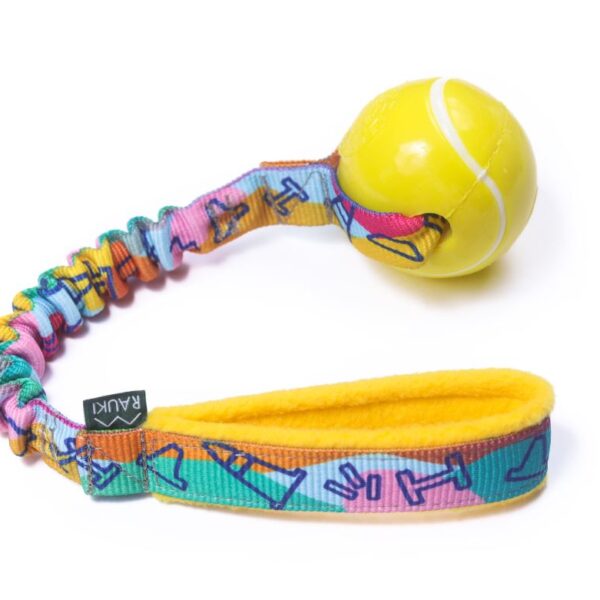 norma planet dog agility rainbow